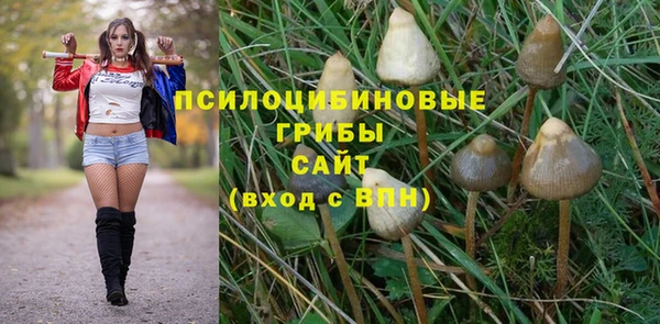 ПСИЛОЦИБИНОВЫЕ ГРИБЫ Наволоки